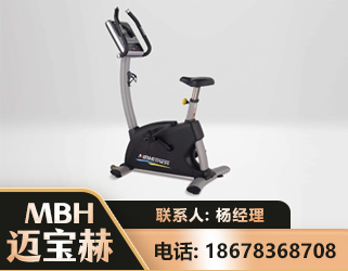 德阳立式健身车